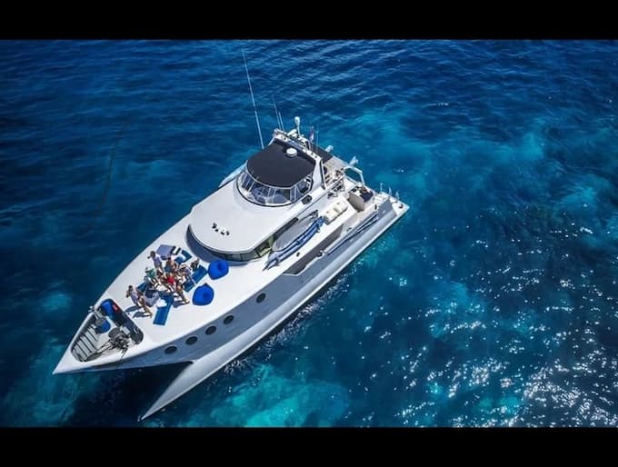 Sailing Catamaran